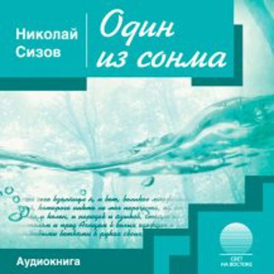 Сизов Николай - Один из сонма 🎧 Слушайте книги онлайн бесплатно на knigavushi.com