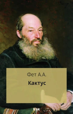 Фет Афанасий - Кактус 🎧 Слушайте книги онлайн бесплатно на knigavushi.com