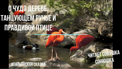 О чудо дереве, танцующем ручье и правдивой птице 🎧 Слушайте книги онлайн бесплатно на knigavushi.com