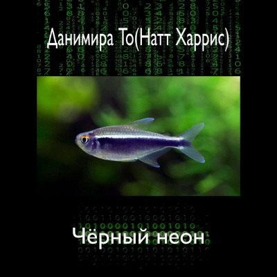 Данимира То (Натт Харрис) - Чёрный неон 🎧 Слушайте книги онлайн бесплатно на knigavushi.com