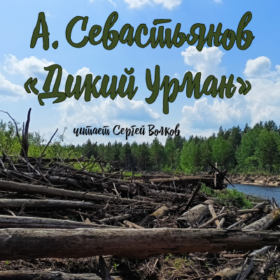 Севастьянов Анатолий - Дикий урман 🎧 Слушайте книги онлайн бесплатно на knigavushi.com