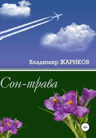 Жариков Владимир - Сон-трава 🎧 Слушайте книги онлайн бесплатно на knigavushi.com