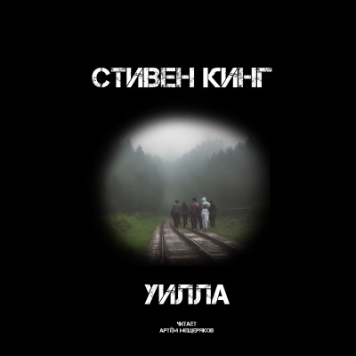 Стивен Кинг - Уилла 🎧 Слушайте книги онлайн бесплатно на knigavushi.com