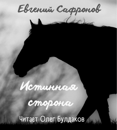 Сафронов Евгений - Истинная сторона 🎧 Слушайте книги онлайн бесплатно на knigavushi.com