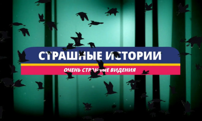 Сосновиков Сергей - Очень странные видения 🎧 Слушайте книги онлайн бесплатно на knigavushi.com