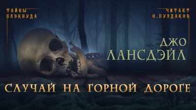 Лансдейл Джо - Случай на горной дороге 🎧 Слушайте книги онлайн бесплатно на knigavushi.com