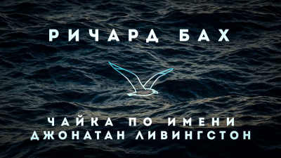 Бах Ричард - Чайка по имени Джонатан Ливингстон 🎧 Слушайте книги онлайн бесплатно на knigavushi.com