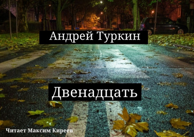 Туркин Андрей - Двенадцать 🎧 Слушайте книги онлайн бесплатно на knigavushi.com