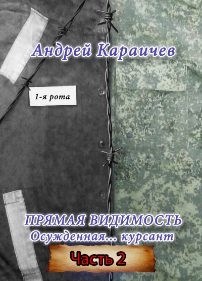 Караичев Андрей - Прямая видимость. Часть 2 🎧 Слушайте книги онлайн бесплатно на knigavushi.com