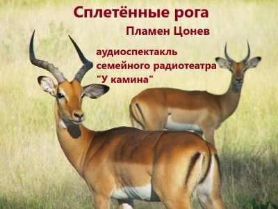 Цонев Пламен - Сплетённые рога 🎧 Слушайте книги онлайн бесплатно на knigavushi.com