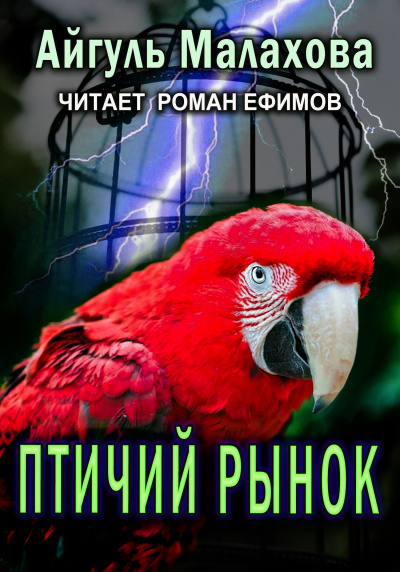 Малахова Айгуль - Птичий рынок 🎧 Слушайте книги онлайн бесплатно на knigavushi.com