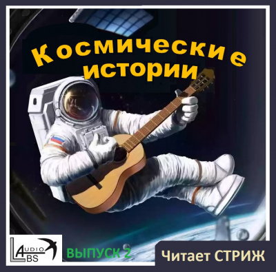 Стриж - Космические  истории - Выпуск 2 🎧 Слушайте книги онлайн бесплатно на knigavushi.com