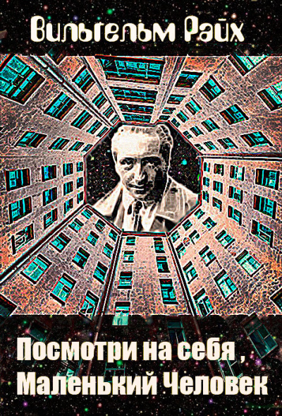 Райх Вильгельм - Посмотри на себя, маленький человек 🎧 Слушайте книги онлайн бесплатно на knigavushi.com