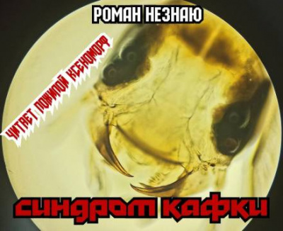 Незнаю Роман - Синдром Кафки 🎧 Слушайте книги онлайн бесплатно на knigavushi.com