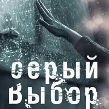 Алиса Северная - Серый выбор 🎧 Слушайте книги онлайн бесплатно на knigavushi.com