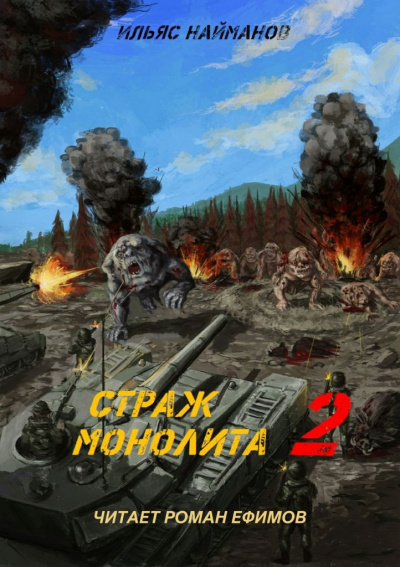 Найманов Ильяс - S.T.A.L.K.E.R. Страж Монолита 2 🎧 Слушайте книги онлайн бесплатно на knigavushi.com