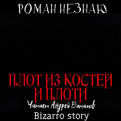 Незнаю Роман - Плот из костей и плоти 🎧 Слушайте книги онлайн бесплатно на knigavushi.com