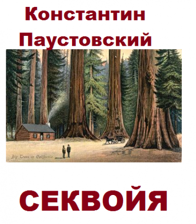 Паустовский Константин - Секвойя 🎧 Слушайте книги онлайн бесплатно на knigavushi.com