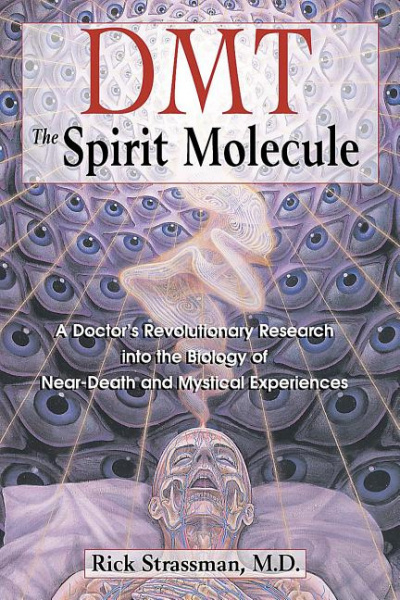 Страссман Рик - ДМТ - молекула духа 🎧 Слушайте книги онлайн бесплатно на knigavushi.com