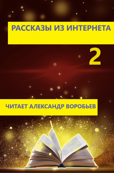 Неизвестный автор - Рассказы из интернета 2 🎧 Слушайте книги онлайн бесплатно на knigavushi.com